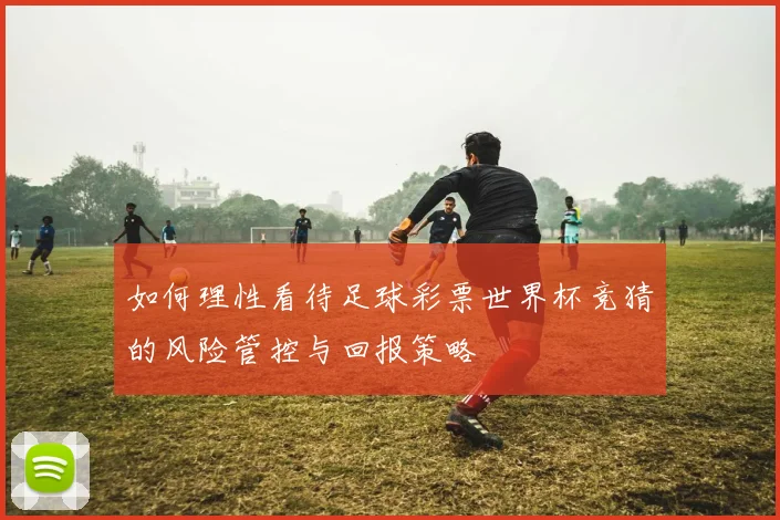 如何理性看待足球彩票世界杯竞猜的风险管控与回报策略