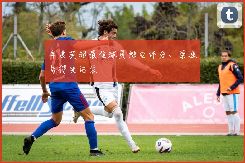 年度英超最佳球员综合评分、票选与得奖记录